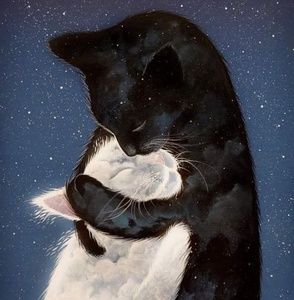 Meet your Posher, Zulma